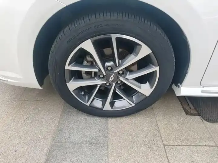 Erez GX 2019 Pro 1.5T Manual Color Edition Country VI 23