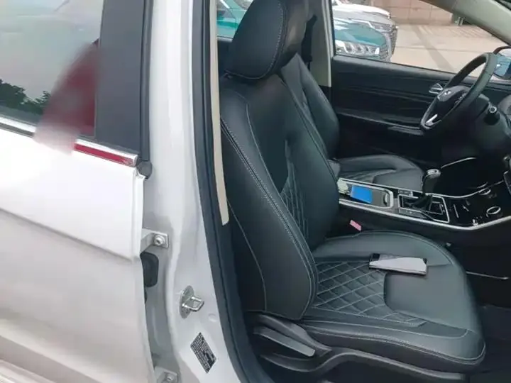 Erez GX 2019 Pro 1.5T Manual Color Edition Country VI 25