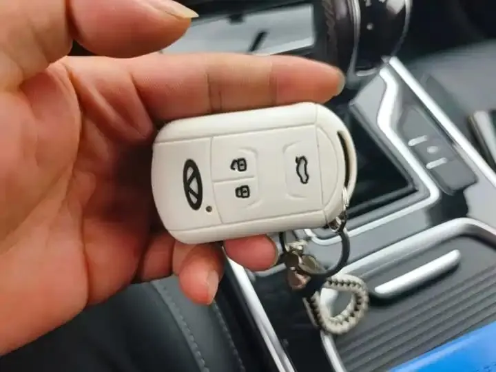 Erez GX 2019 Pro 1.5T Manual Color Edition Country VI 9