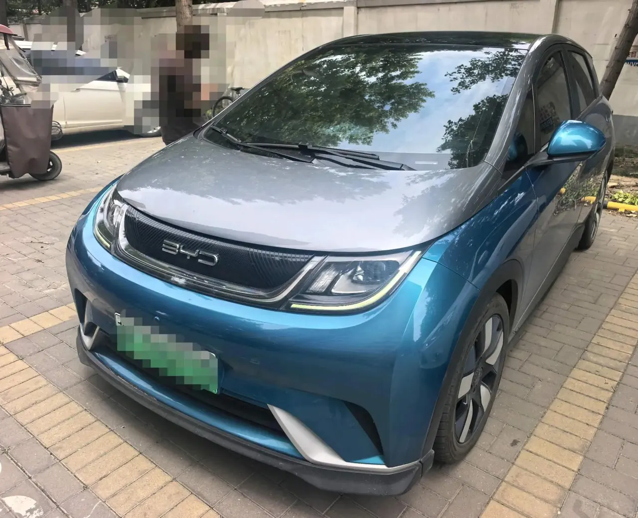 Open image lightbox: Dolphin 2021 401km Knight Edition