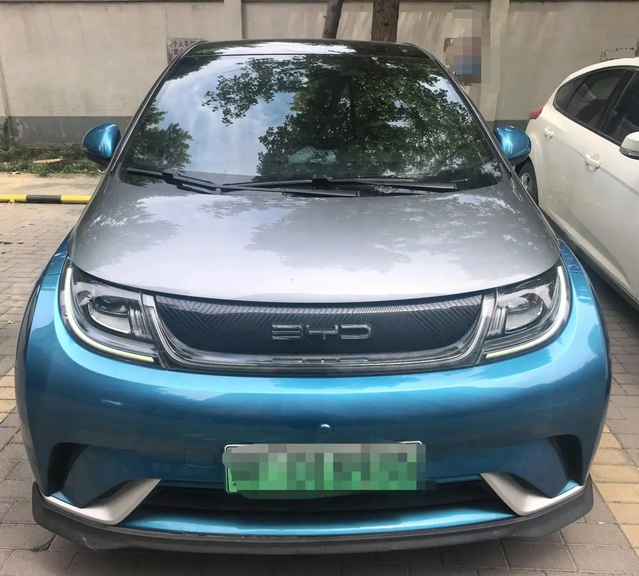 Dolphin 2021 401km Knight Edition 2