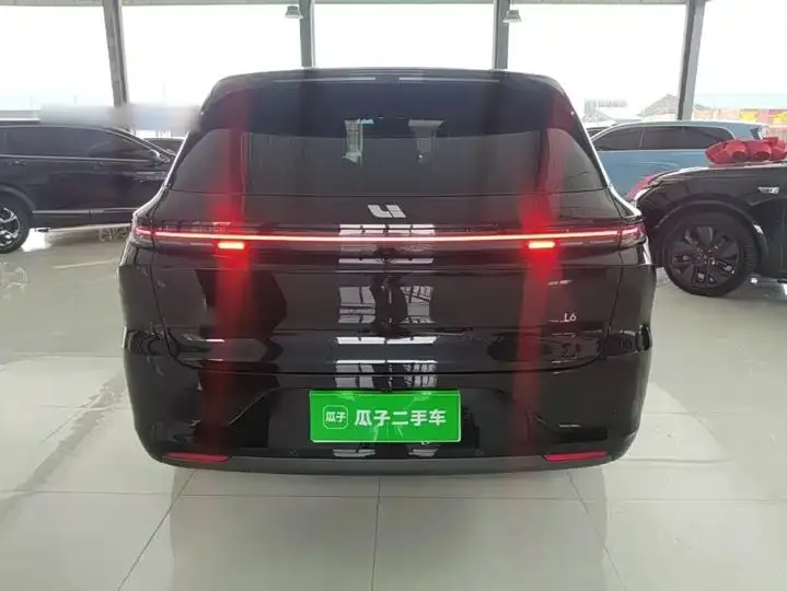 Li L6 2024 Pro 6