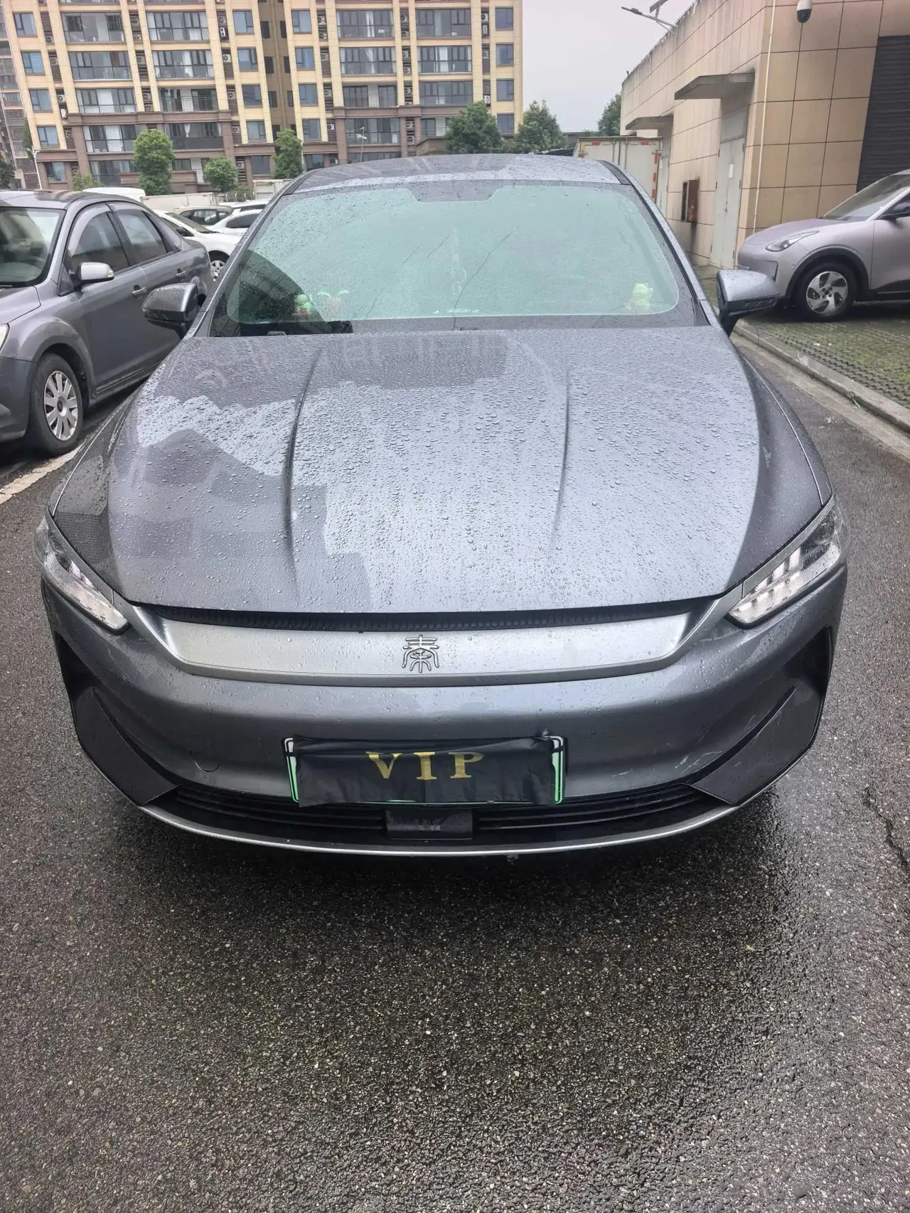 BYD 2024 Qin PLUS EV 510km Honor Edition Leading Model Automatic 2
