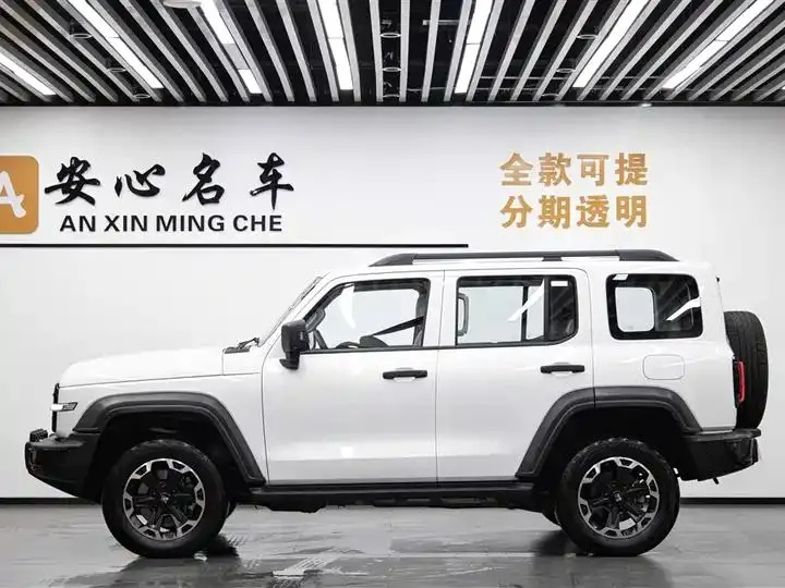 Tank 300 New Energy 2025 Hi4-T 37.1kWh 2