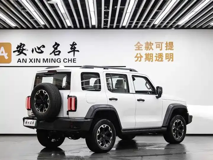 Tank 300 New Energy 2025 Hi4-T 37.1kWh 3