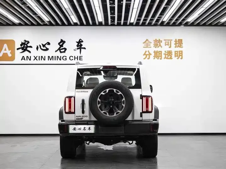 Tank 300 New Energy 2025 Hi4-T 37.1kWh 4