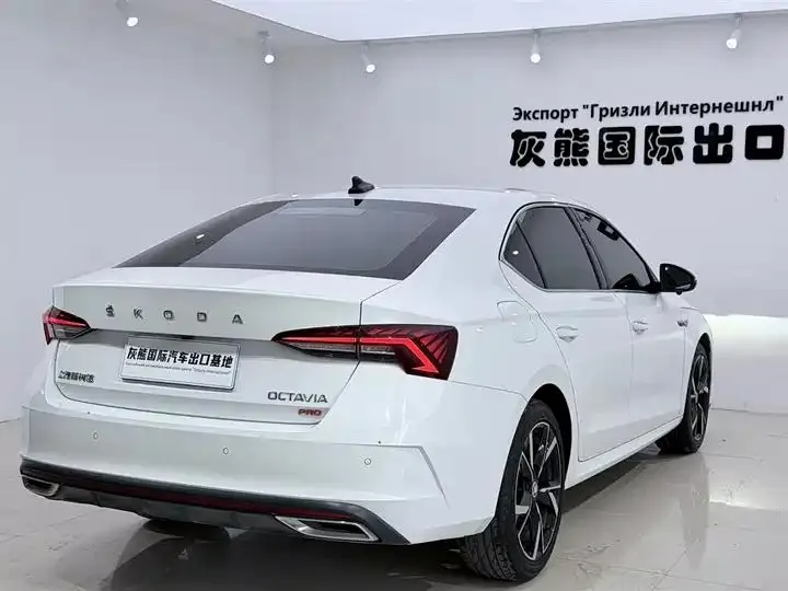 Ming Rui 2023 PRO TSI280 Luxury Edition 4