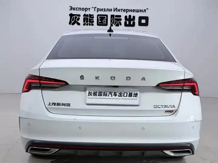 Ming Rui 2023 PRO TSI280 Luxury Edition 5