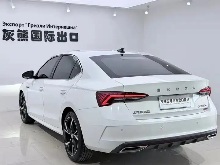 Ming Rui 2023 PRO TSI280 Luxury Edition 6