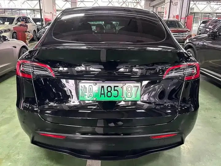 2021 Model Y Standard Range Rear-Wheel Drive Edition 10