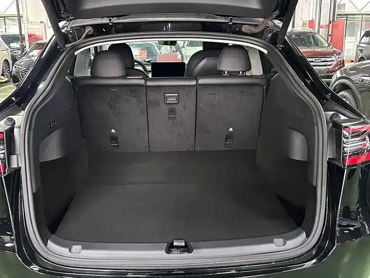 2021 Model Y Standard Range Rear-Wheel Drive Edition 11