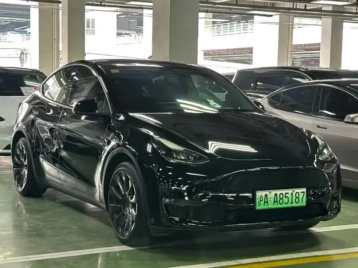 2021 Model Y Standard Range Rear-Wheel Drive Edition 16