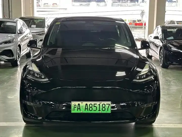 2021 Model Y Standard Range Rear-Wheel Drive Edition 2