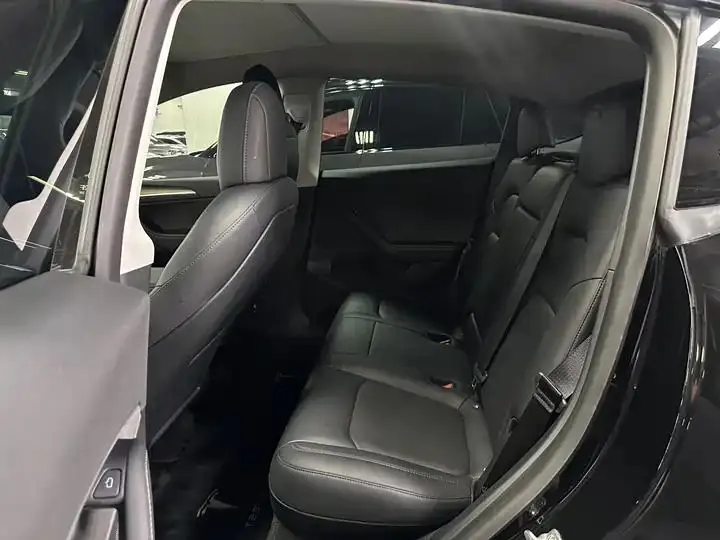 2021 Model Y Standard Range Rear-Wheel Drive Edition 4