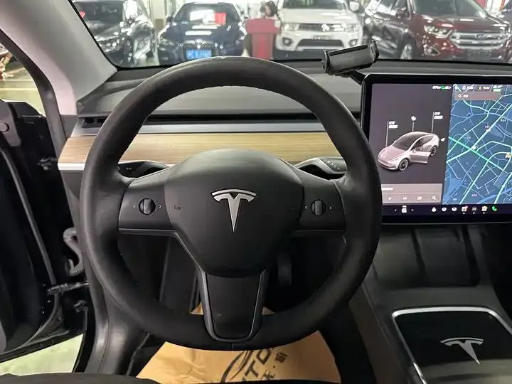 2021 Model Y Standard Range Rear-Wheel Drive Edition 7