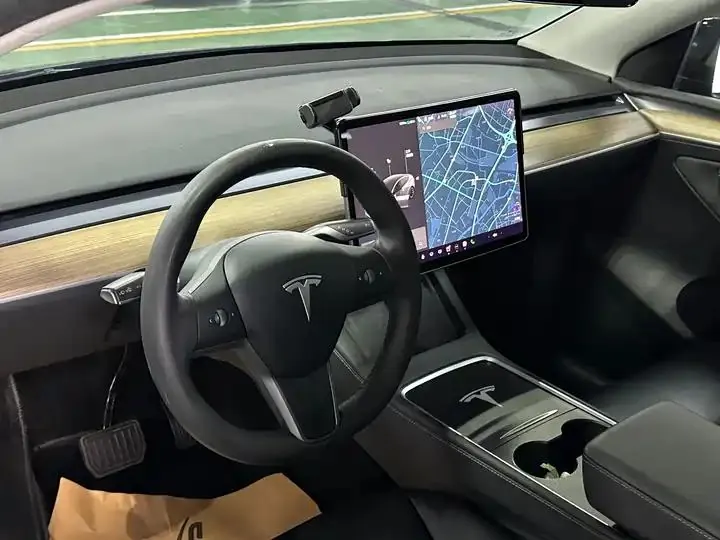 2021 Model Y Standard Range Rear-Wheel Drive Edition 8