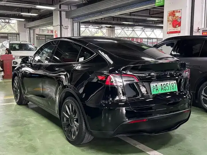 2021 Model Y Standard Range Rear-Wheel Drive Edition 9