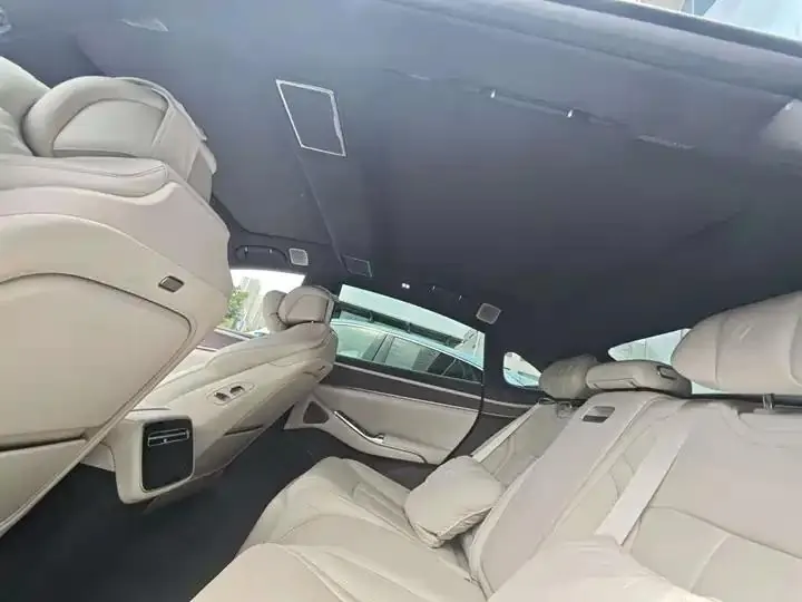 Denza Z9 2024 1100km 4WD Max Edition 9
