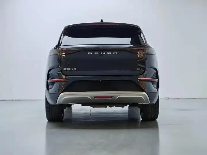 Denza N8 2023 Four-wheel Drive Super Hybrid Flagship Six-seat Edition 11