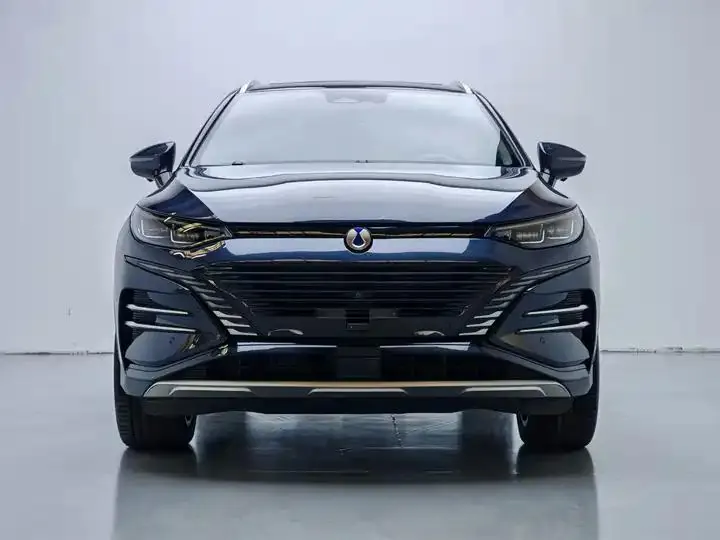 Denza N8 2023 Four-wheel Drive Super Hybrid Flagship Six-seat Edition 2