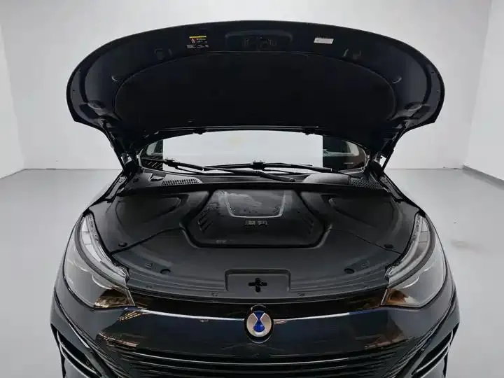 Denza N8 2023 Four-wheel Drive Super Hybrid Flagship Six-seat Edition 8