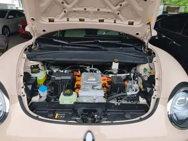 Ora good cat 2024 401km honor 135kW 20