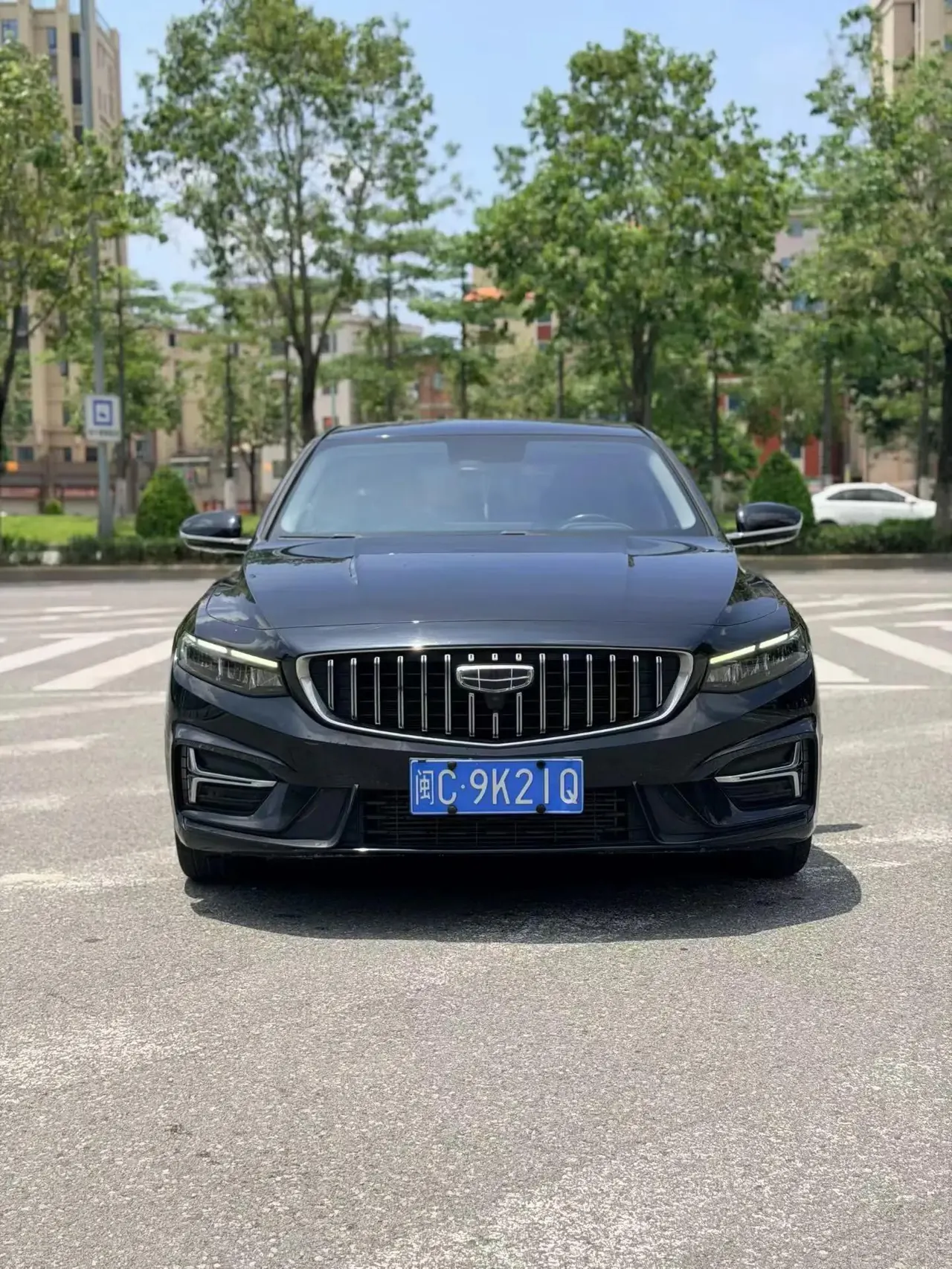 Xingrui 2021, 2.0TD Luxury Model 3