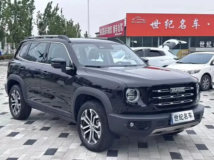 Haval Big Dog 2022 1.5T DCT Two-Drive Border Pastoral Edition 3