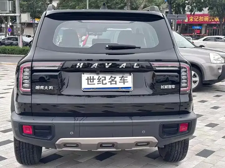 Haval Big Dog 2022 1.5T DCT Two-Drive Border Pastoral Edition 7
