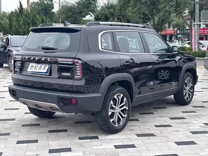 Haval Big Dog 2022 1.5T DCT Two-Drive Border Pastoral Edition 8
