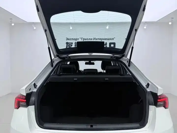 Ming Rui 2022 PRO TSI280 Luxury Edition 16