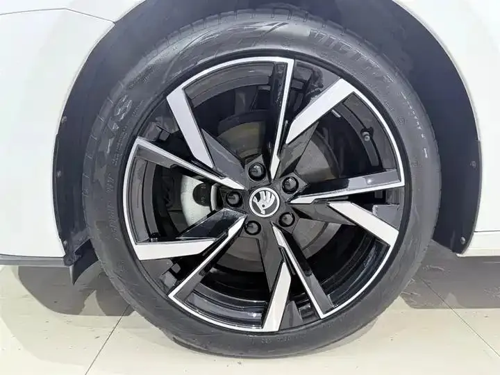 Ming Rui 2022 PRO TSI280 Luxury Edition 19