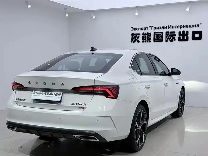 Ming Rui 2022 PRO TSI280 Luxury Edition 4