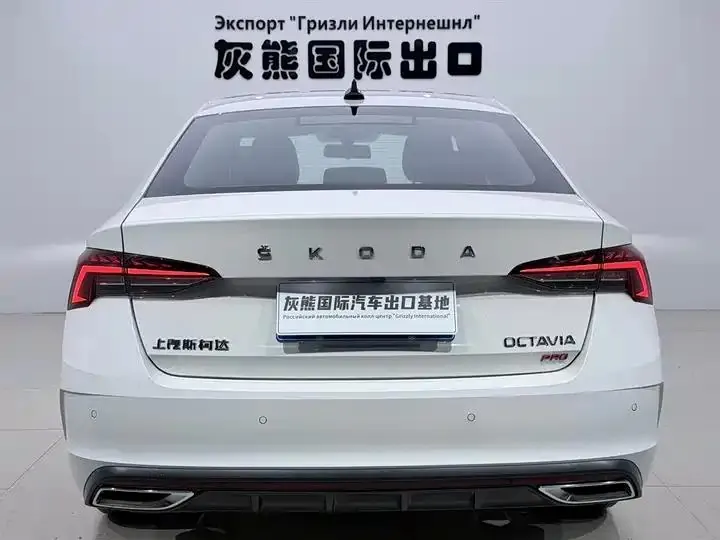 Ming Rui 2022 PRO TSI280 Luxury Edition 5