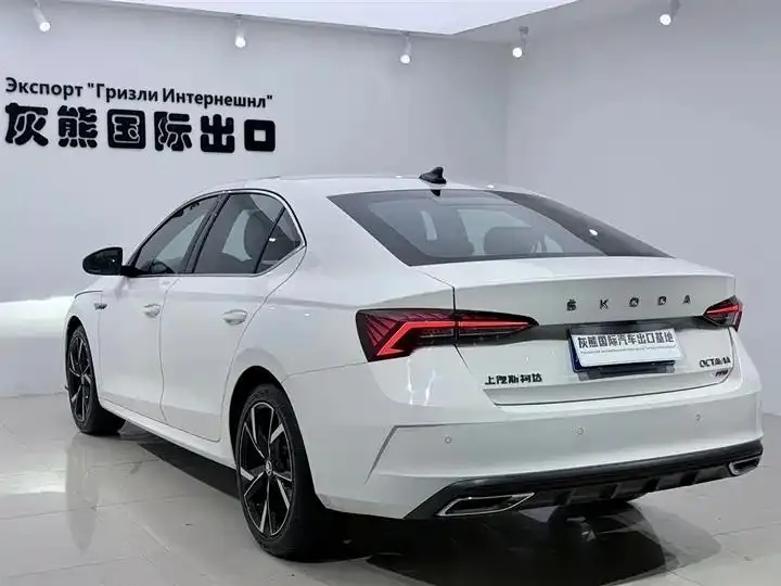 Ming Rui 2022 PRO TSI280 Luxury Edition 6