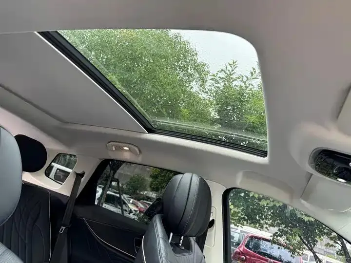 Ruihu 9 2023 2.0T Dual Clutch Two-Drive Deluxe Edition 5 21