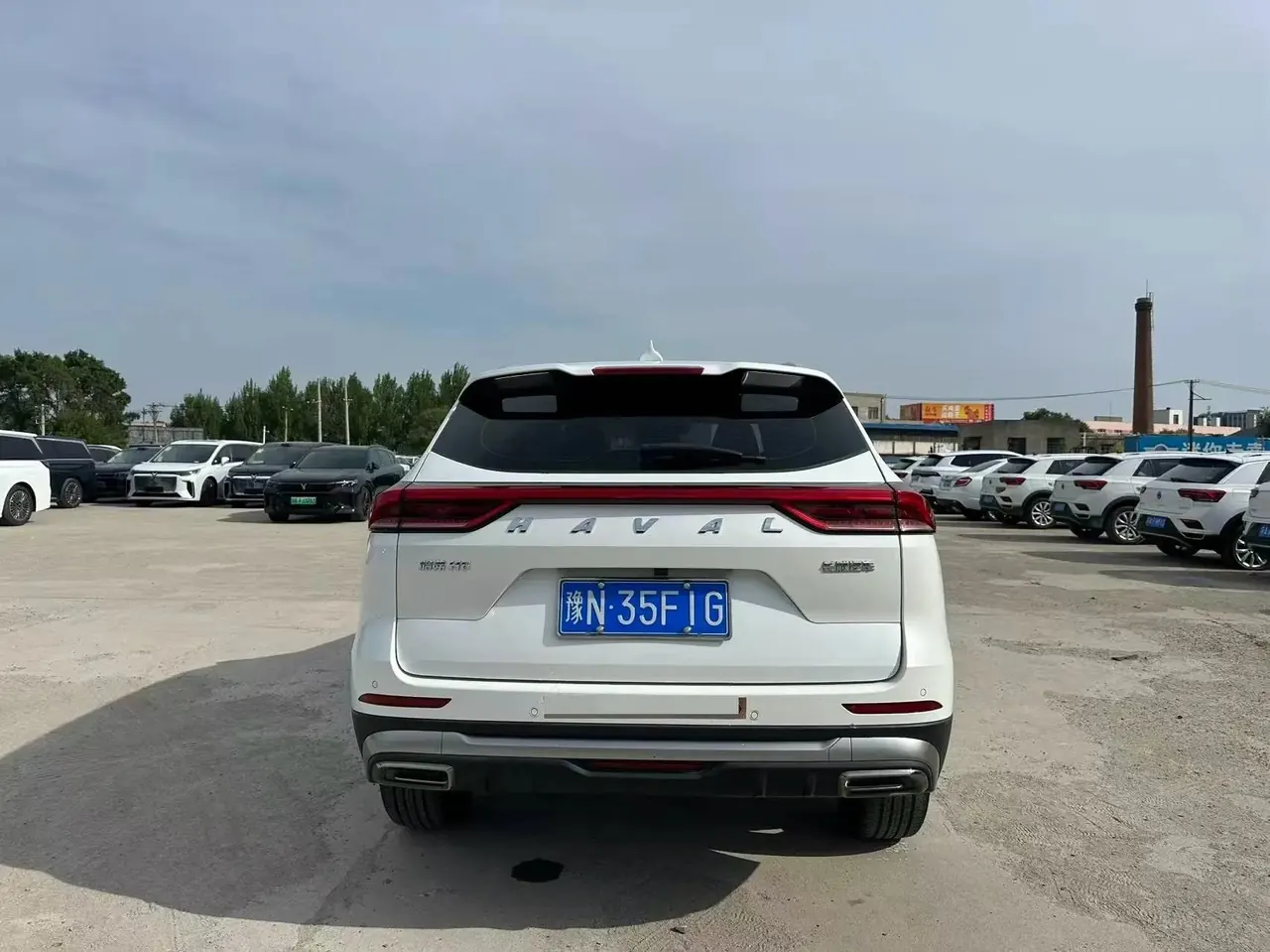 Haval H6 2021 National Tide Edition 1.5T Auto Champion Edition 5