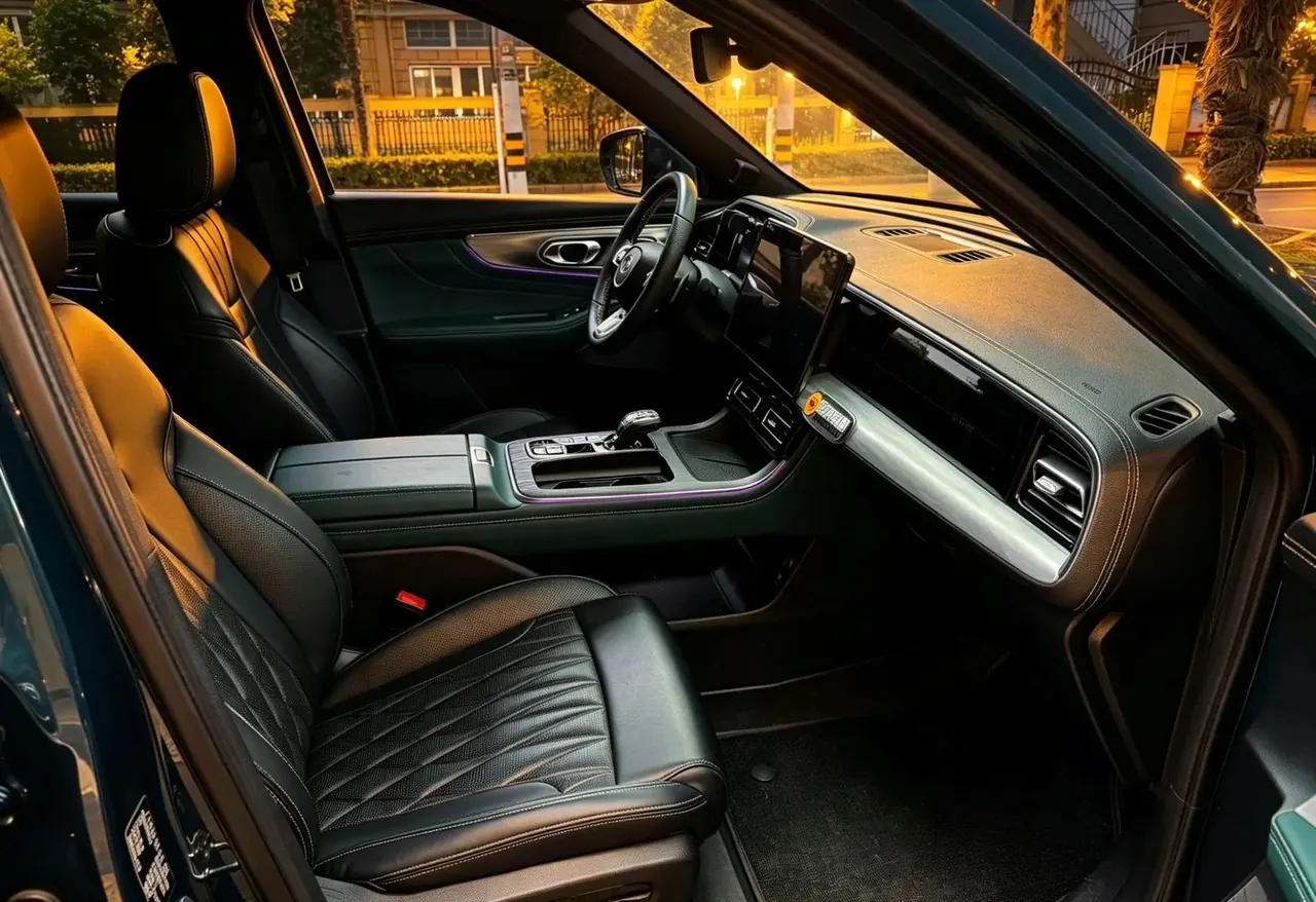 Chuanqi GS8 2022 Pilot Series 2.0TGDI Two-Drive Premium Edition (6 seats) 5