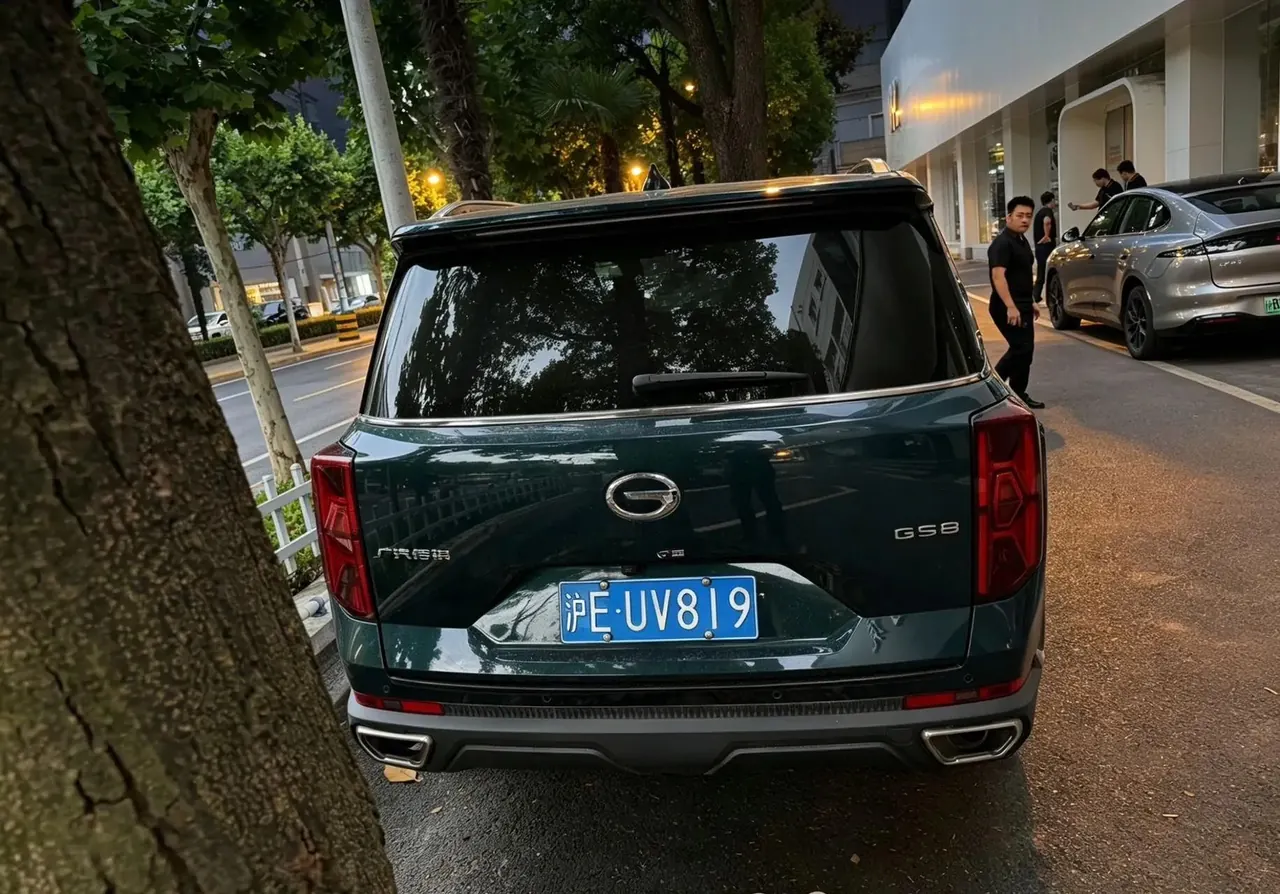 Chuanqi GS8 2022 Pilot Series 2.0TGDI Two-Drive Premium Edition (6 seats) 7