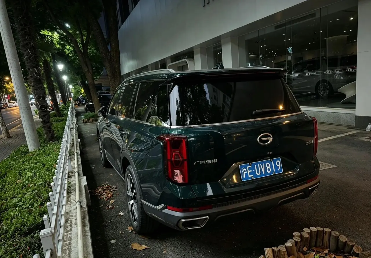 Chuanqi GS8 2022 Pilot Series 2.0TGDI Two-Drive Premium Edition (6 seats) 8