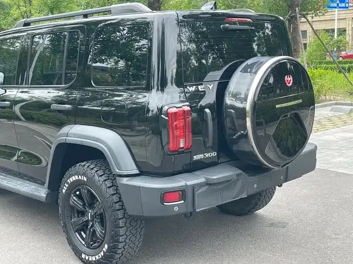 Tank 300 2021 Off-road Edition 2.0T Conqueror 5