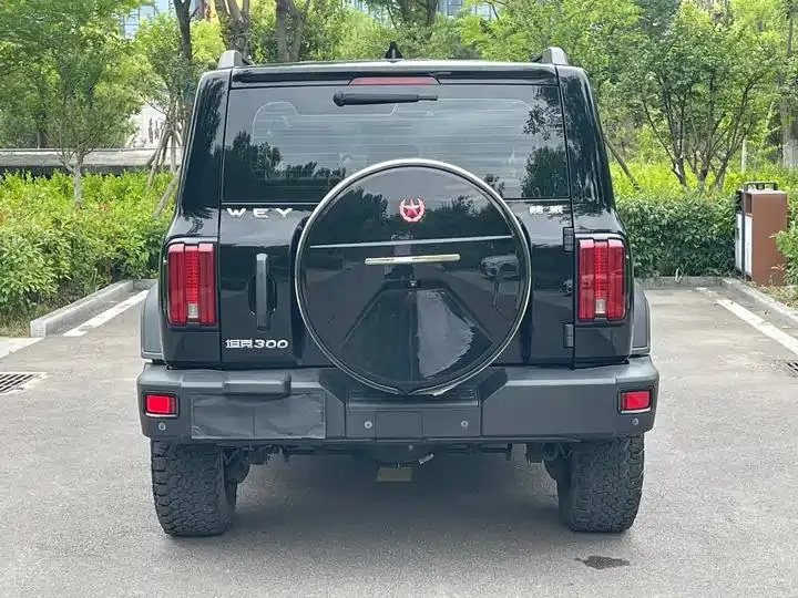 Tank 300 2021 Off-road Edition 2.0T Conqueror 6