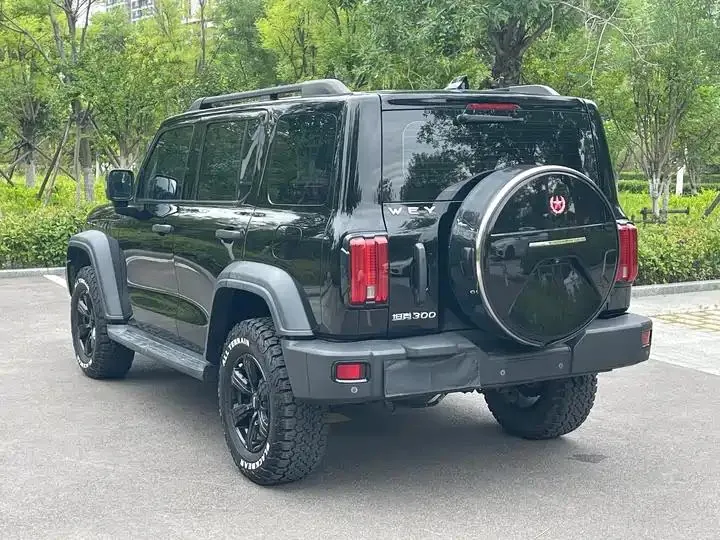 Tank 300 2021 Off-road Edition 2.0T Conqueror 8