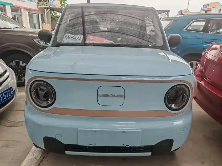 Panda 2024 panda mini 200km endurance bear 2