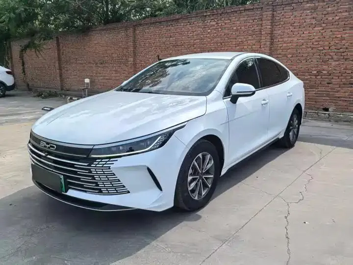 Destroyer 05 2024 Glory Edition DM-i 55KM Luxury Model - View 1