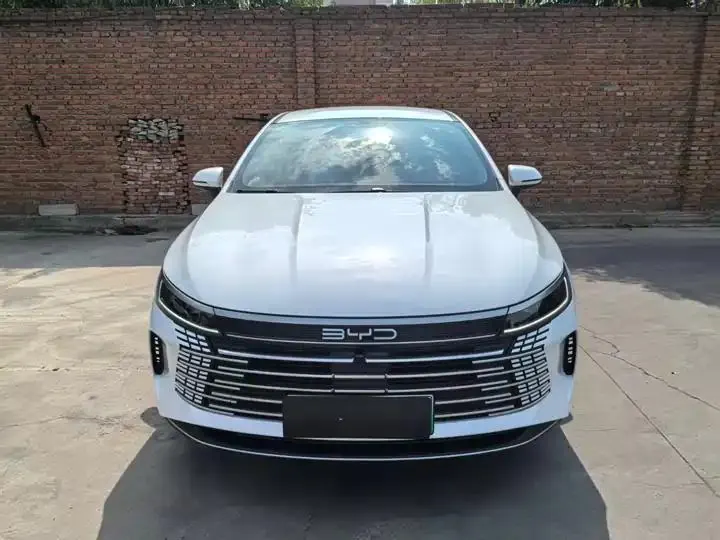 Destroyer 05 2024 Glory Edition DM-i 55KM Luxury Model 2