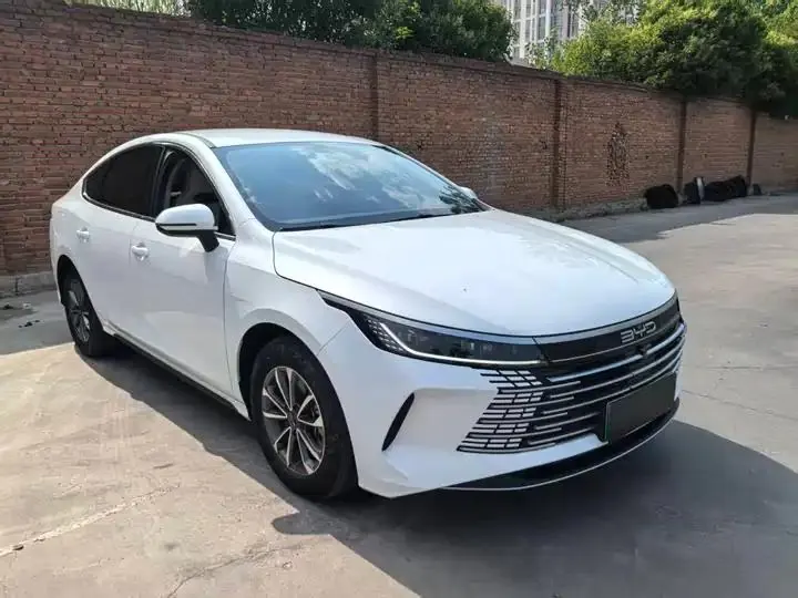 Destroyer 05 2024 Glory Edition DM-i 55KM Luxury Model 3
