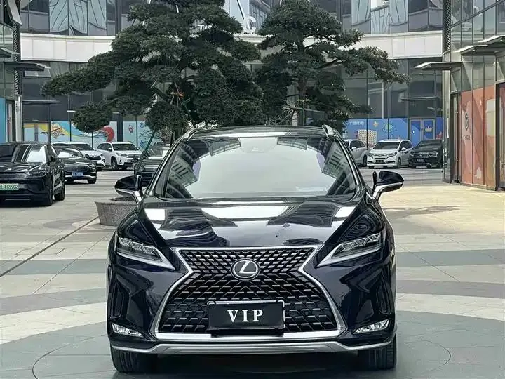 Lexus RX 2020 model modified 300 four-wheel drive elegant version 2