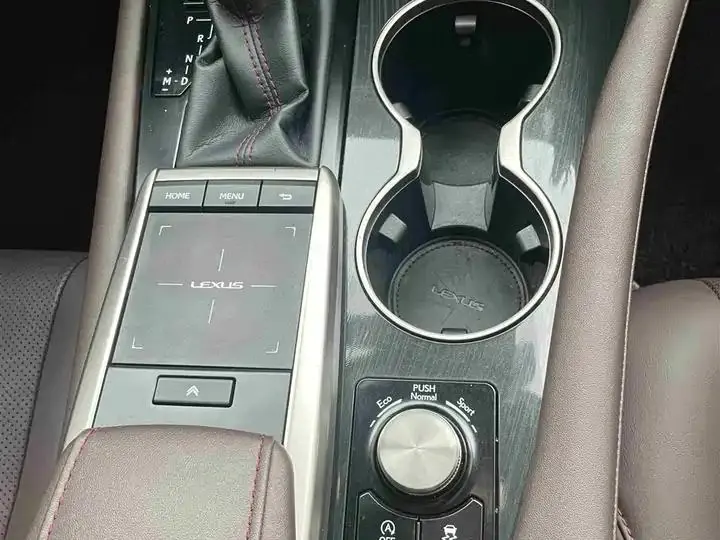 Lexus RX 2020 model modified 300 four-wheel drive elegant version 32
