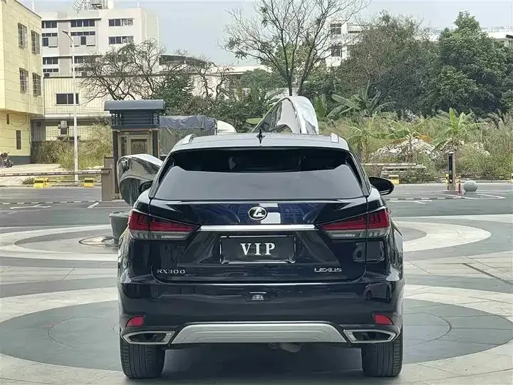 Lexus RX 2020 model modified 300 four-wheel drive elegant version 5